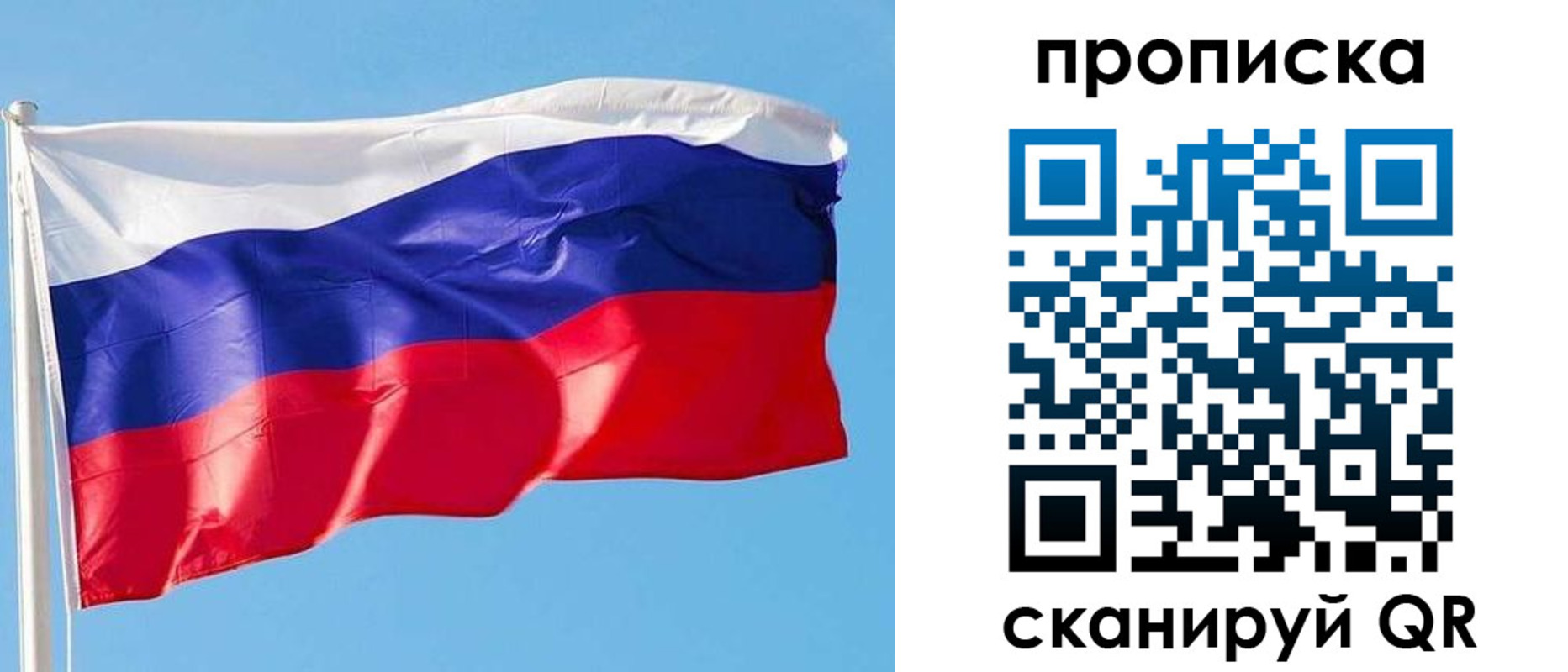 прописка поиск в Чистополье